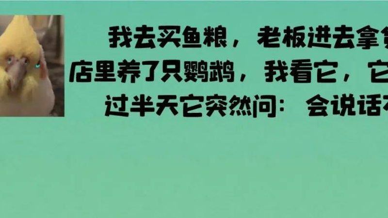 米面制品代工合同：规避风险，保障权益**